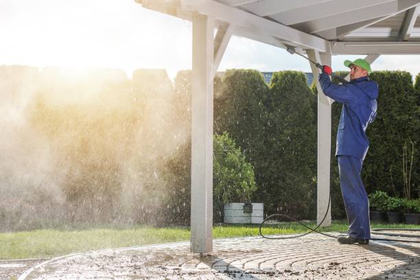 Best Dumpster Area Cleaning  in Ironwood, MI
